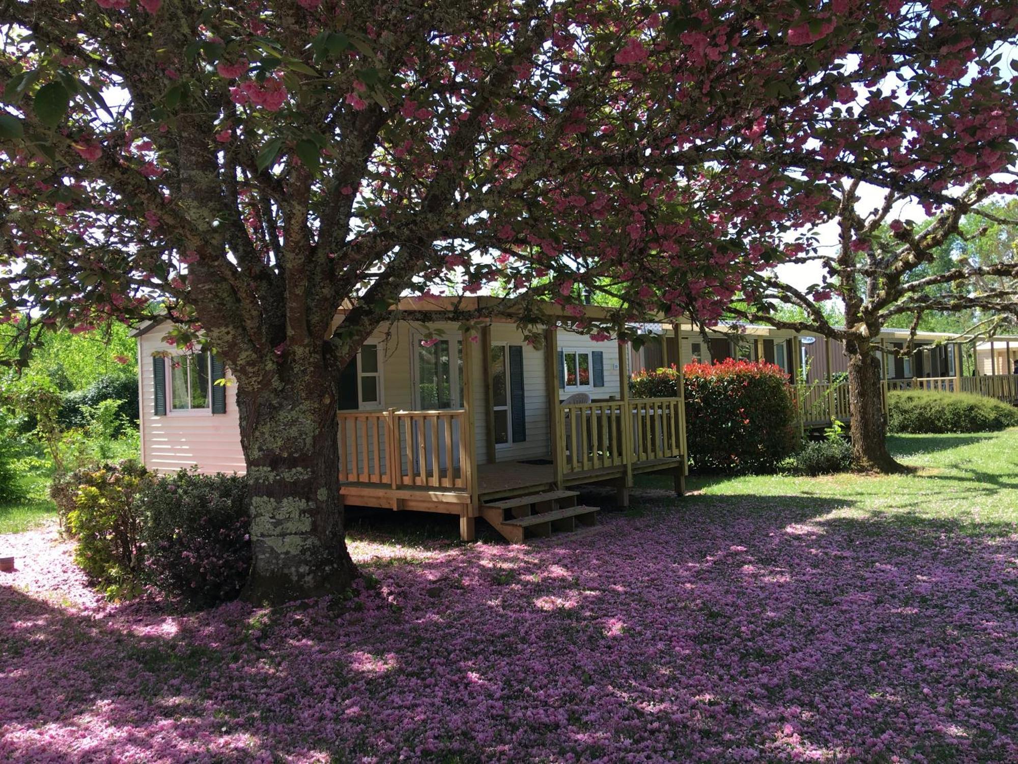 Camping La Ferme De Perdigat Limeuil Екстер'єр фото